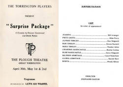 Surprise Package (1987)